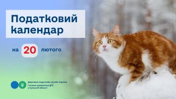 Податковий календар на 20 лютого 2026 року