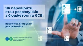 Як перевірити стан розрахунків з бюджетом та ЄСВ: покрокова інструкція для платників