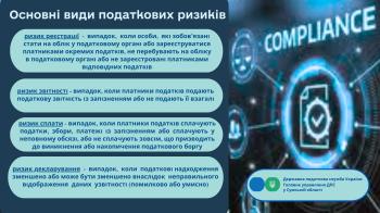 Основні види податкових ризиків
