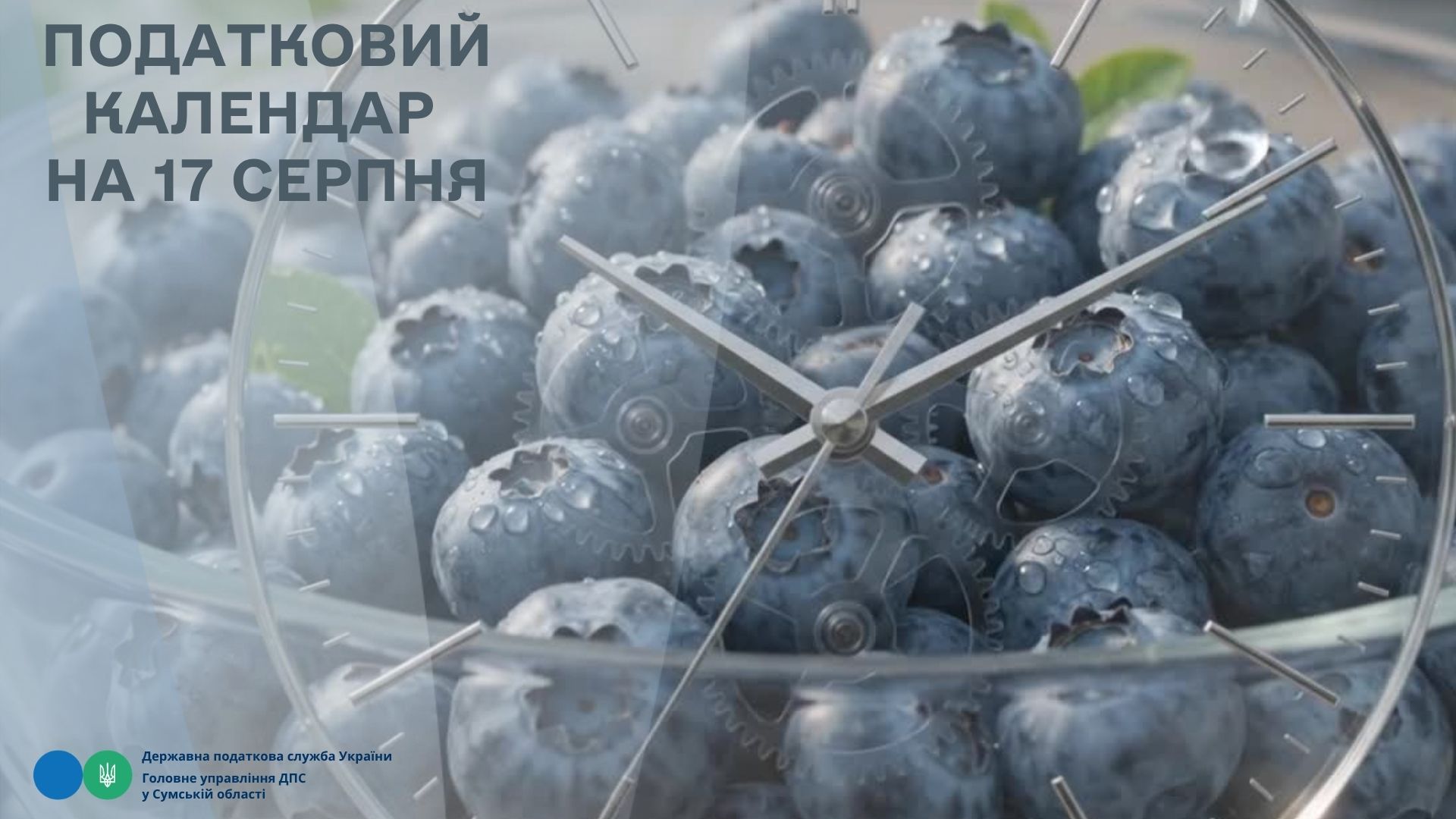 Податковий календар на 17 серпня