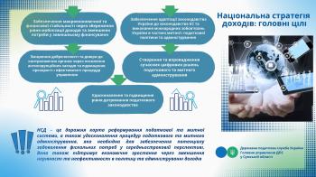 Національна стратегія доходів: головні цілі